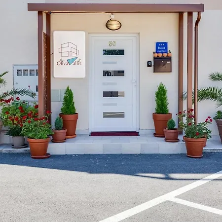 Oliva Vallis * Zára