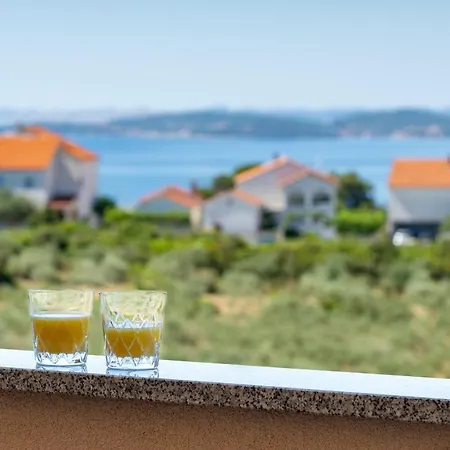 Oliva Vallis * Zára